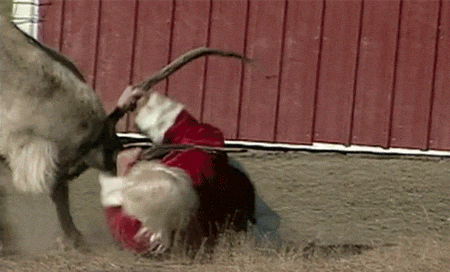 Reindeer Fighting With Santa Funny Gif