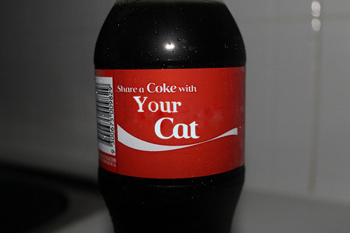 Share A Coke With Your Cat Funny Picture