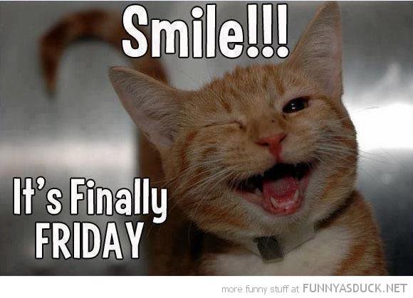 Smile It's Finally Friday Funny Cat Picture
