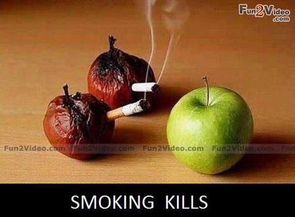 Smoking Kills Funny Fruits