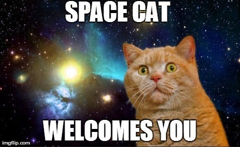 Space Cat Welcomes You Funny Image