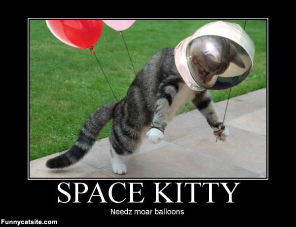 Space Kitty Needz Moar Balloons Funny Poster