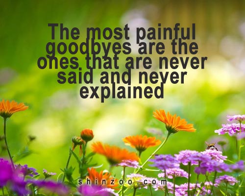 The most painful goodbyes are the ones that are never said and never explained (1)