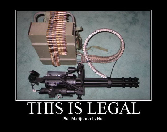 This Is Legal But Marijuana Is Not Funny Gun Poster