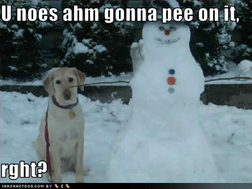 U Nose Ahm Gonna Pee On It Funny Picture