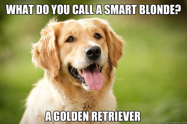 What Do You Call A Smart Blonde Dog Meme