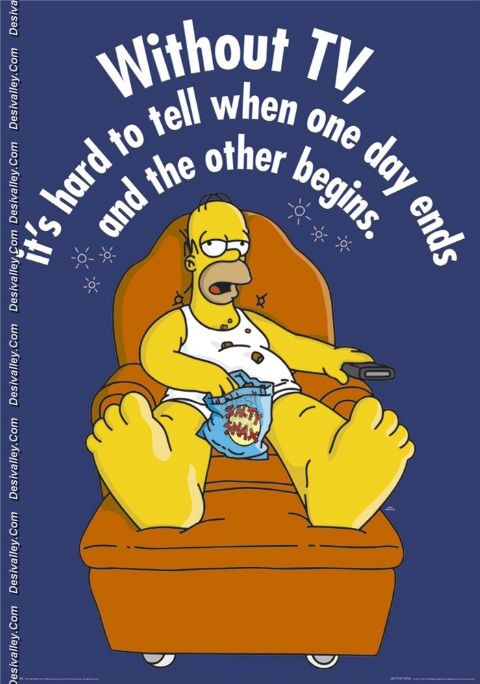 Without Tv Funny Simpsons Poster