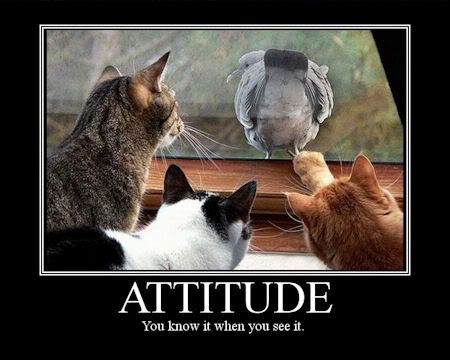 You Know It When You See It Funny Attitude Poster