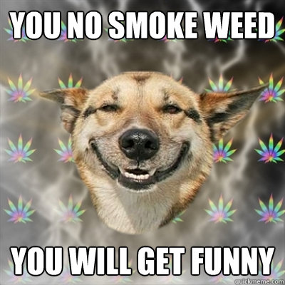 You No Smoke Weed You Will Get Funny Dog Meme