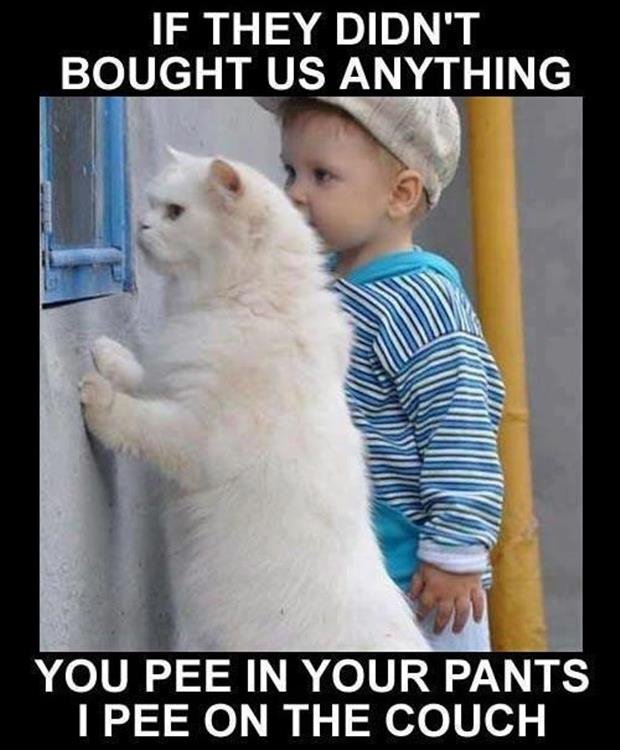 You Pee In Your Pants I Pee On The Couch Funny Cat And Boy