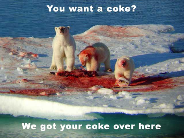 You Want A Coke Funny Polar Bear Picture