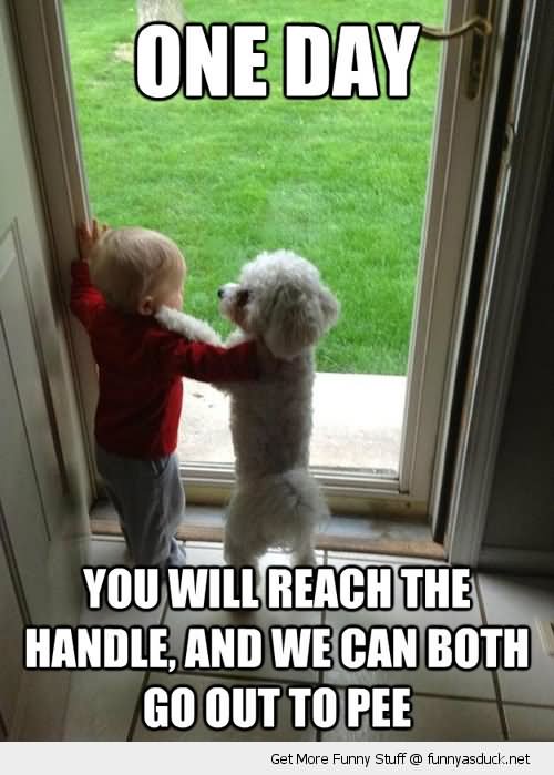 You Will Reach The Handle And We Can Both Go Out To Pee Funny Meme Picture
