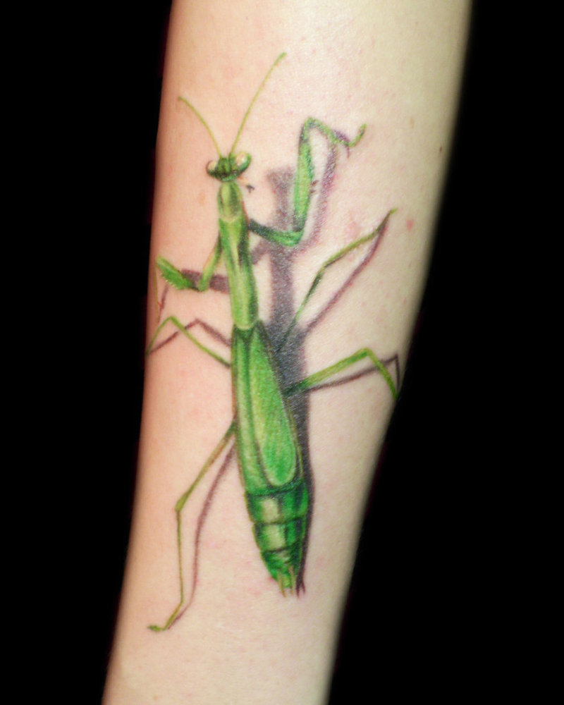 3D Green Ink Mantis Tattoo Design For Arm