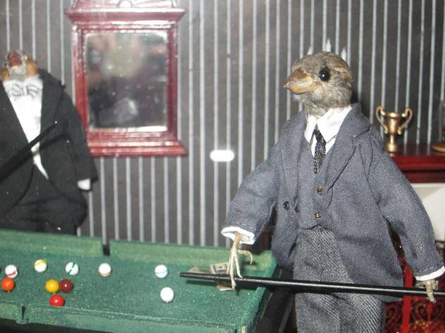 Birds Playing Snooker Funny Picture