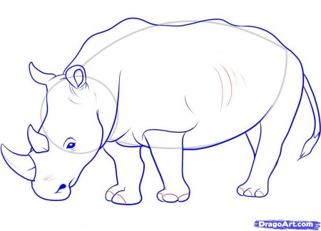 Blue Outline Rhino Tattoo Stencil
