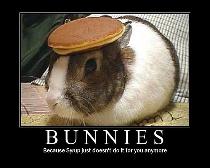 Bunny With Hat Funny Picture