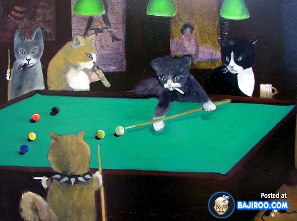 Cats Playing Snooker Funny Picture