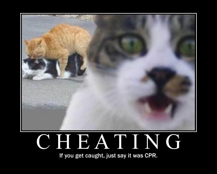 Funny Cheating Cats Image