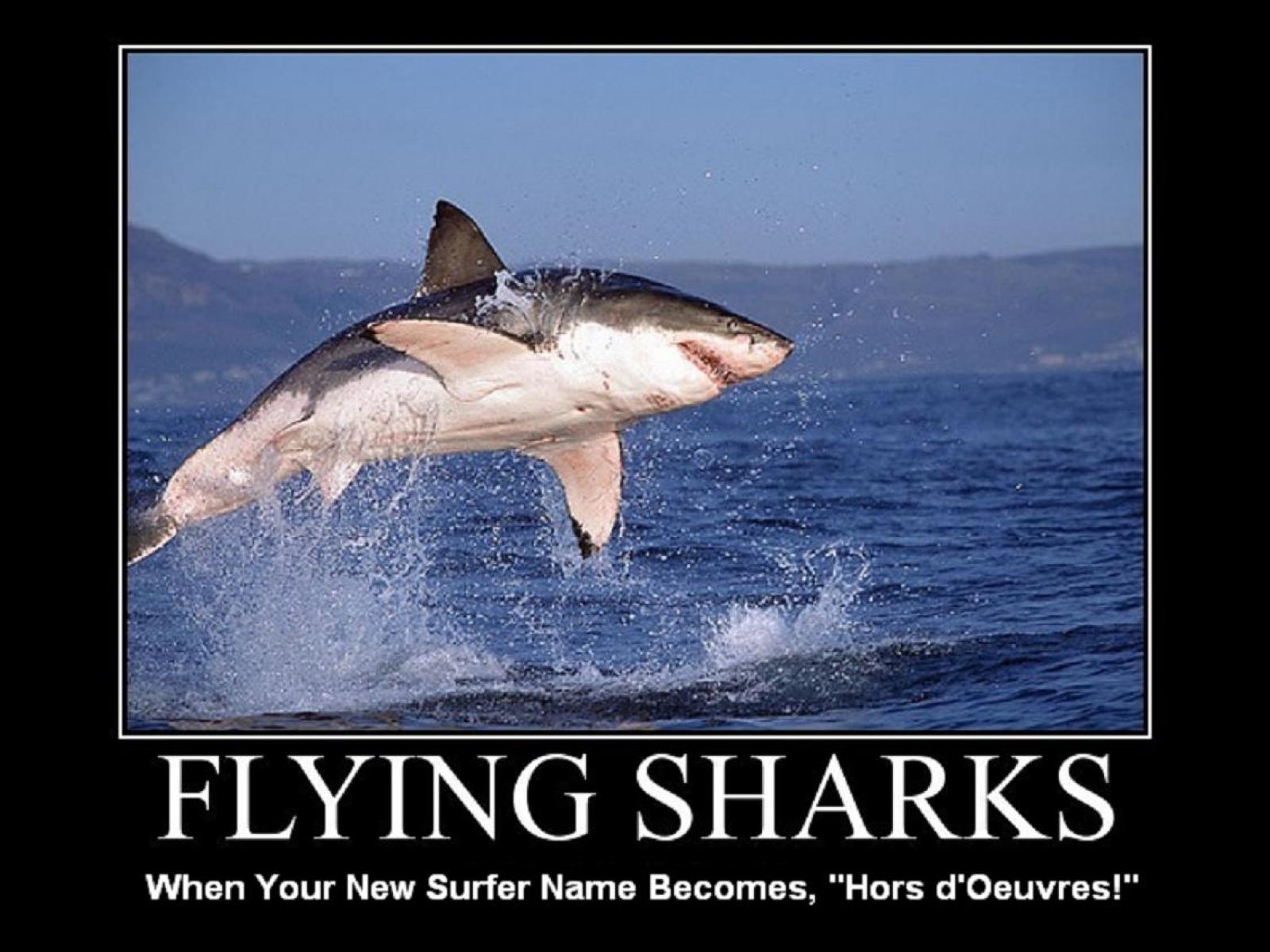 Funny Flying Sharks Poster