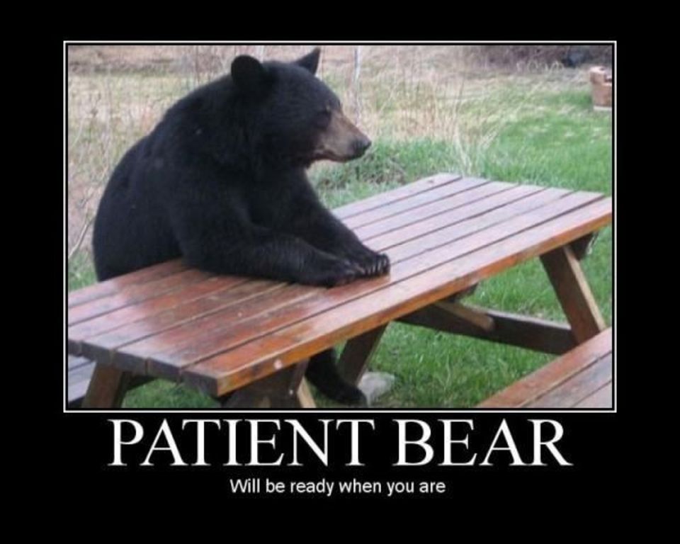 Funny Patient Bear Poster