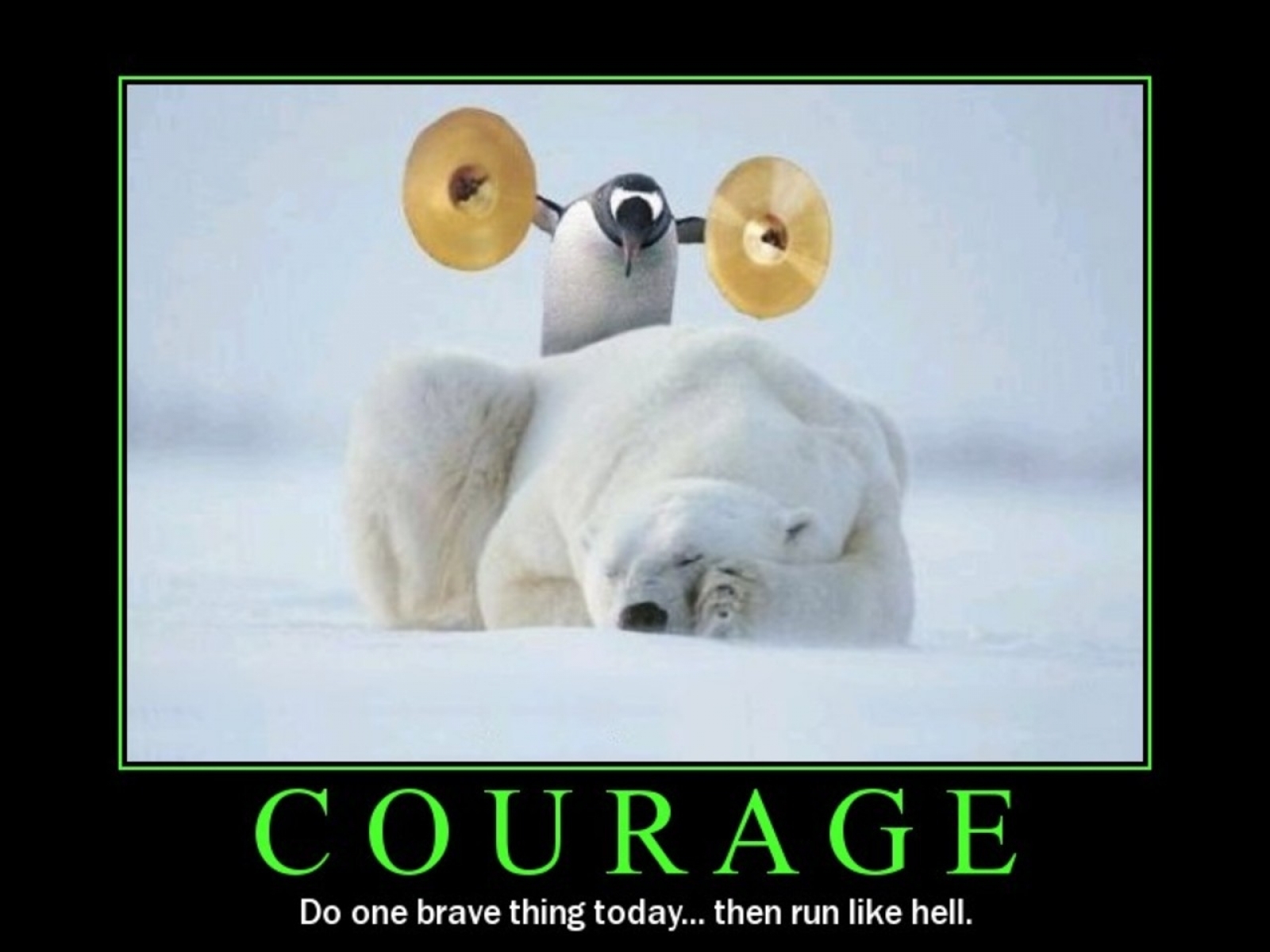 Funny-Penguin-On-Polar-Bear-Poster.jpg