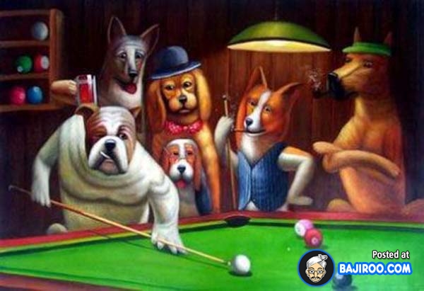 Funny Snooker Dogs Picture