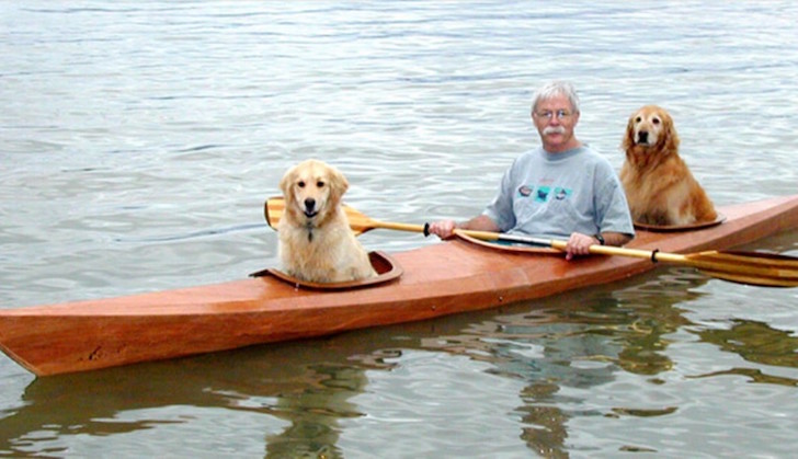 Old Man With Dogs Funny Canoeing Picture