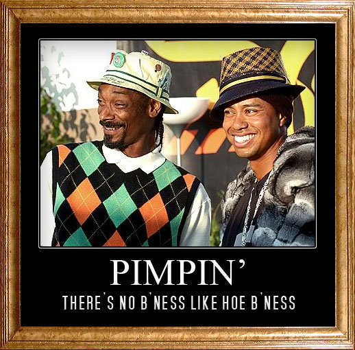 Pimpin Tiger And Snoop Funny Picture