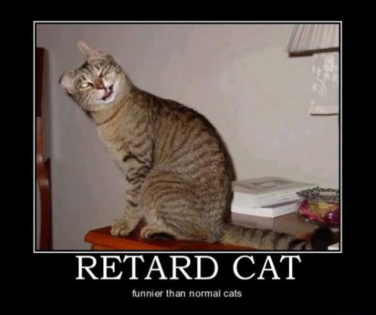 Retard Cat Funny Poster