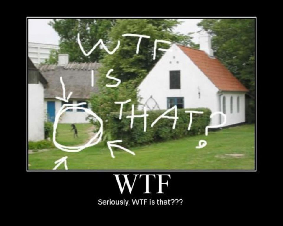 Seriously Wtf Is That Funny House Image