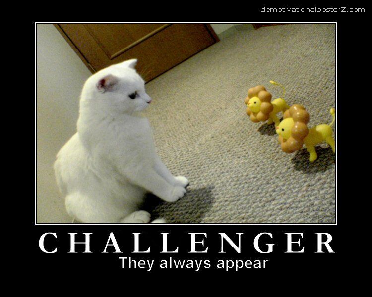 They Always Appear Funny Cat Challenger Poster