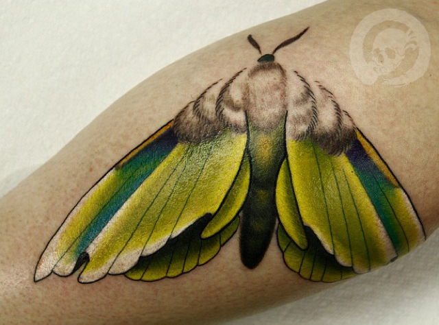 Rob Diamond Art Moth Tattoo