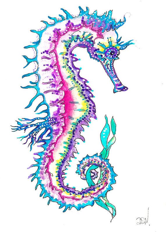 Awesome Colorful Seahorse Tattoo Design