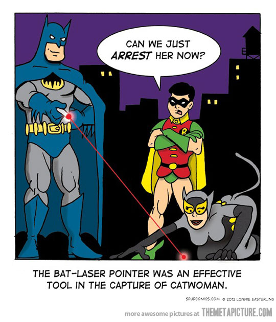 Batman Laser Attack On Cat Woman Funny Picture