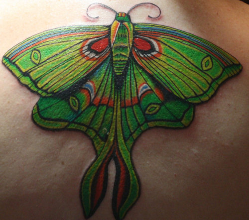 Beautiful Luna Moth Tattoo For Girls