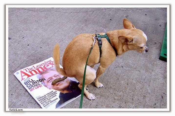 Dog Pooping On Bill Clinton’s Face On Magazine Funny Picture