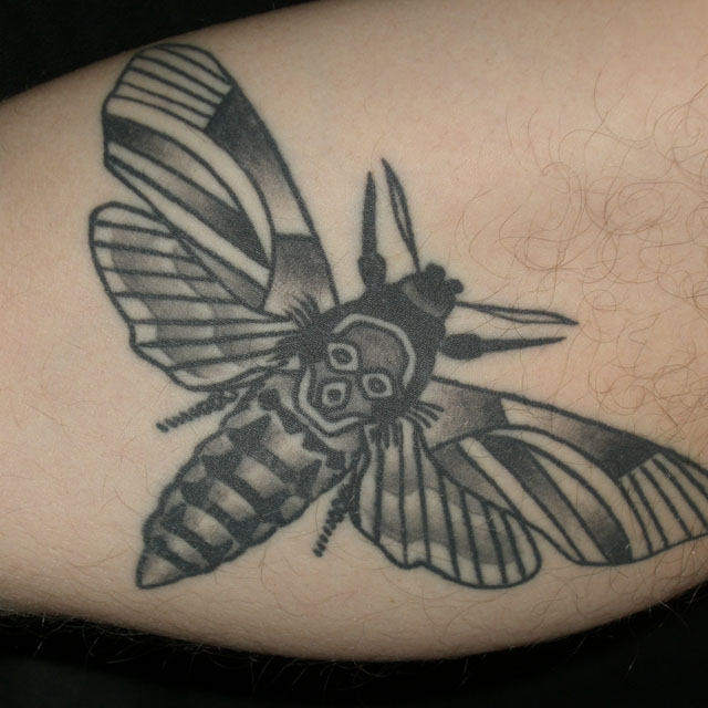 Black And Grey Moth Tattoo Design