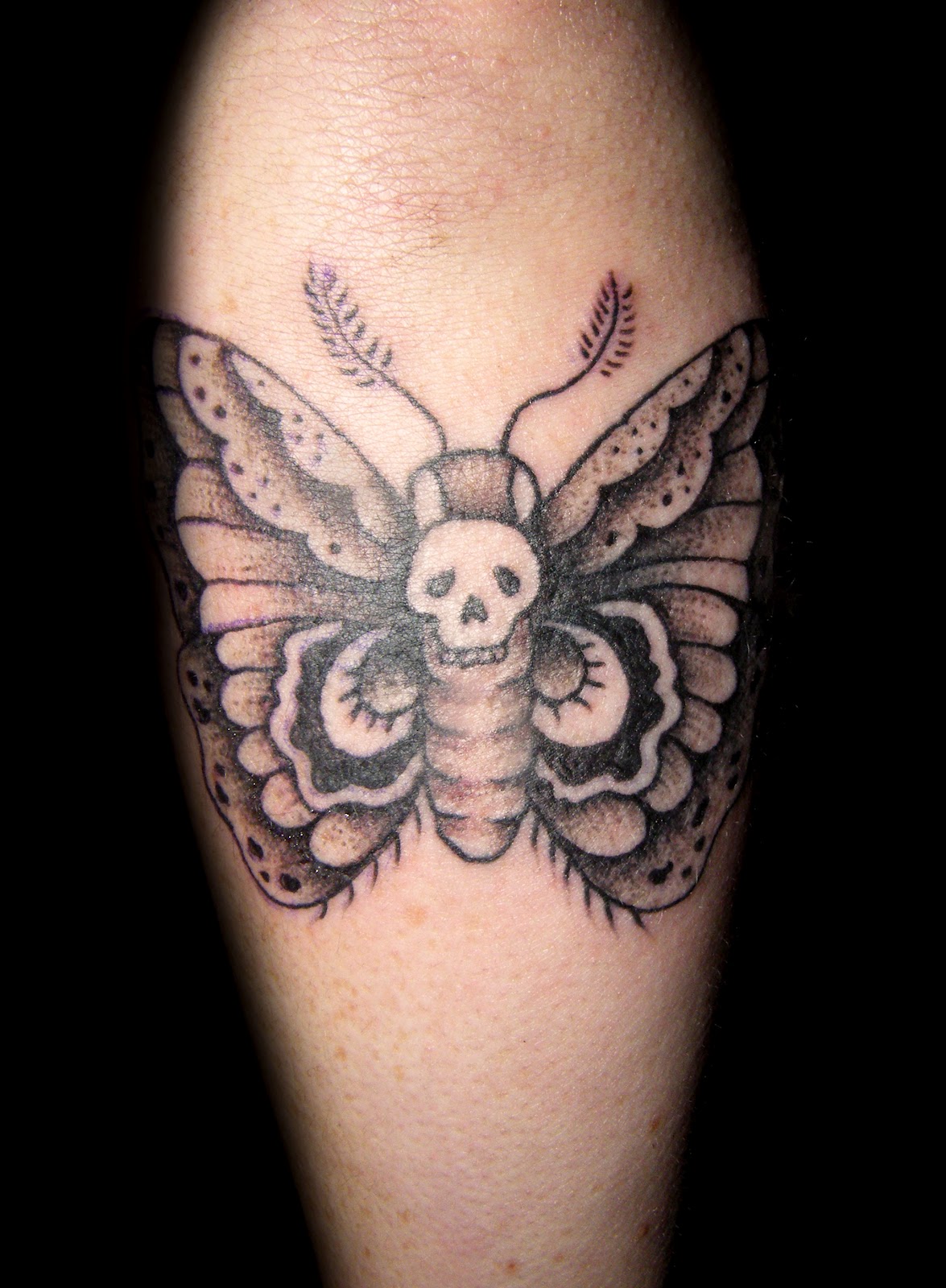 Black And Grey Moth Tattoos On Forearm