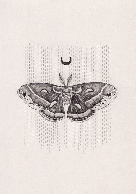 Black And Grey Moth With Half Moon Tattoo Design