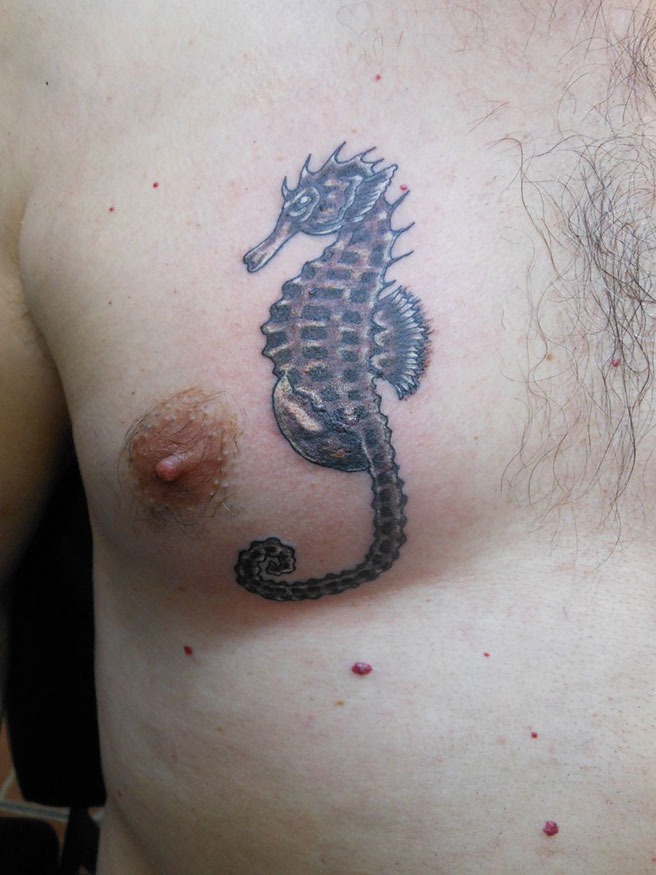 Black And Grey Seahorse Tattoo On Man Chest