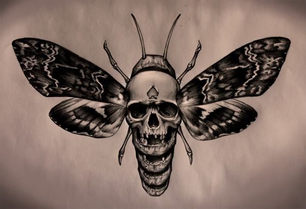 Black And Grey Skull In Moth Tattoo Design