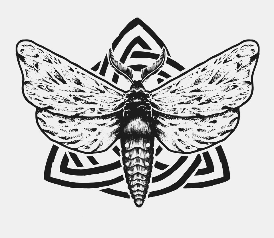 Black Ink Moth Tattoo Design By Mateusz