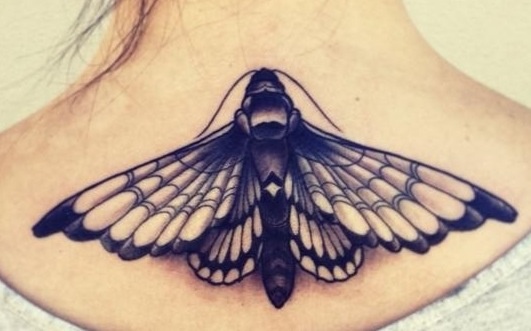 Black Ink Moth Tattoo Design For Upper Back