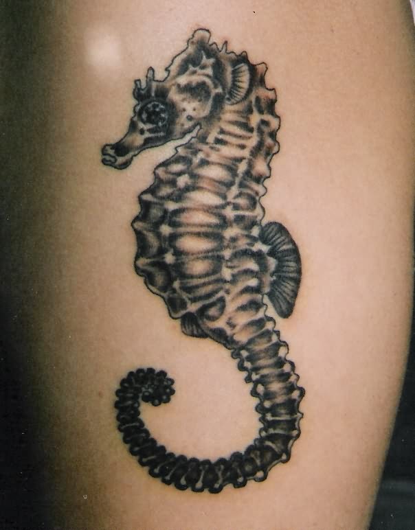 Black Ink Seahorse Tattoo Design