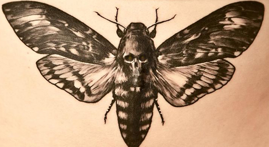 Black Ink Skull In Moth Tattoo Design