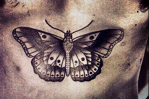 Black Moth Tattoo On Under Chest