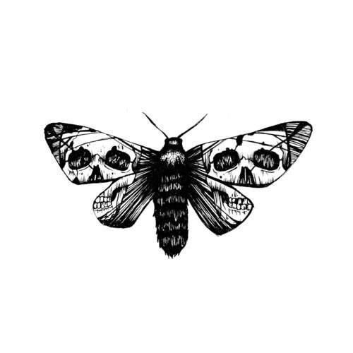 Black Skull In Moth Wings Tattoo Design