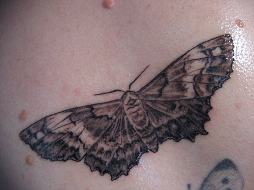 Classic Black Ink Moth Tattoo Design