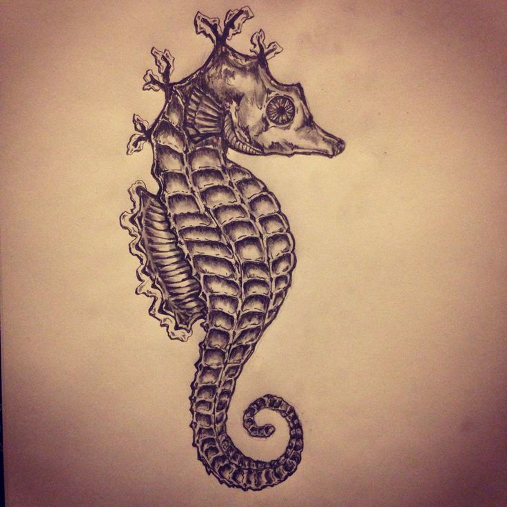 Classic Black Ink Seahorse Tattoo Design