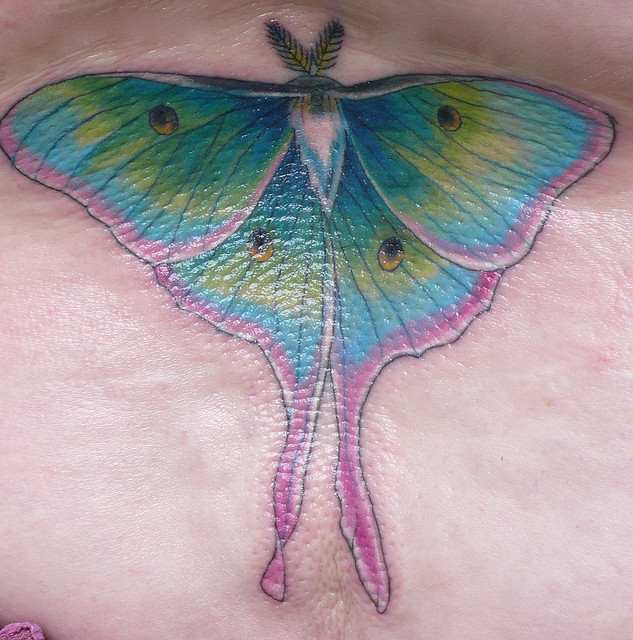 Colored Ink Luna Moth Tattoo